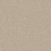 Cedar Creek Beige Carpet