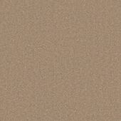 Jameson Fawn Carpet
