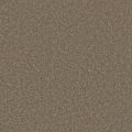 Jameson Walnut Carpet