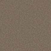 Jameson Walnut Carpet