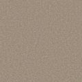 Jameson Taupe Carpet