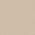 Papillon Beige Carpet