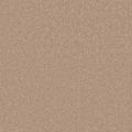 Jefferson Blush Carpet
