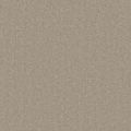 Jefferson Taupe Carpet