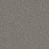 Cygnet Mineral Carpet