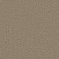 Cygnet Moleskin Carpet