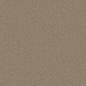 Cygnet Moleskin Carpet