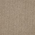 Hyde Park Taupe Carpet