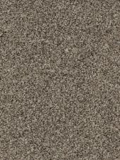Moonstone Silver Birch Carpet