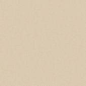 House Beautiful Portsmouth Pagham Carpet