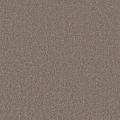 House Beautiful Portsmouth Bembridge Carpet