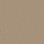 House Beautiful Portsmouth Broad Down Carpet