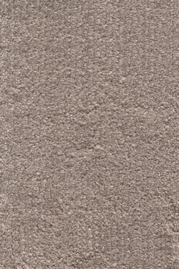 Princess Saxony Carpet Tapi Carpets & Floors