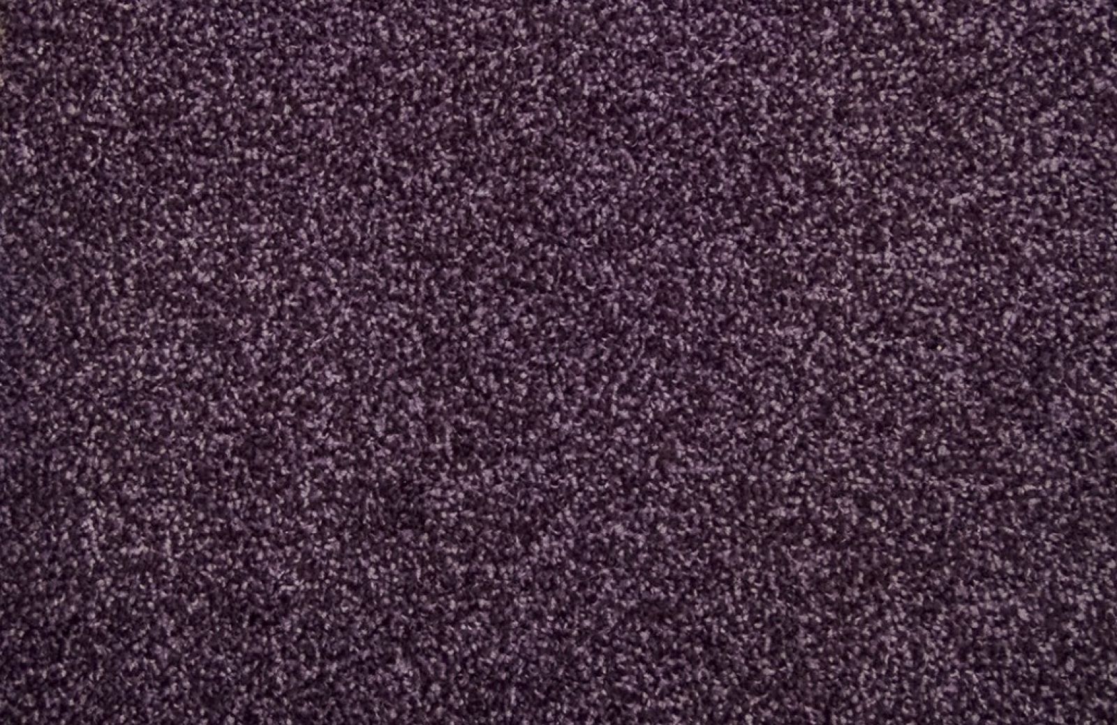 Purple Carpet Tapi Carpets & Flooring