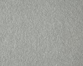 House Beautiful Breeze Platinum Carpet