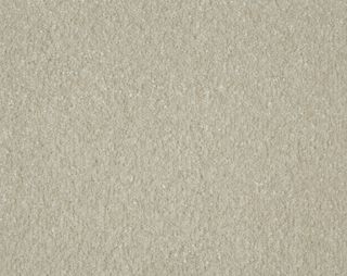 Breeze  Sealskin Twist Carpet