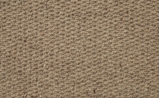 Hyde Park Calico Loop Pile Carpet