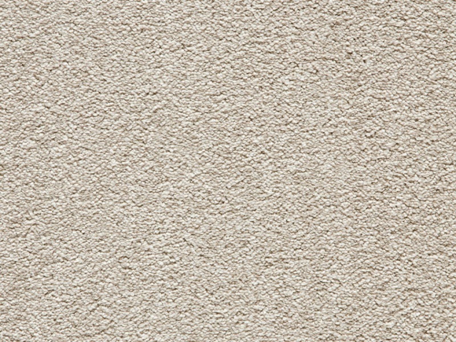 Long Island Saxony Carpet Tapi Carpets & Floors