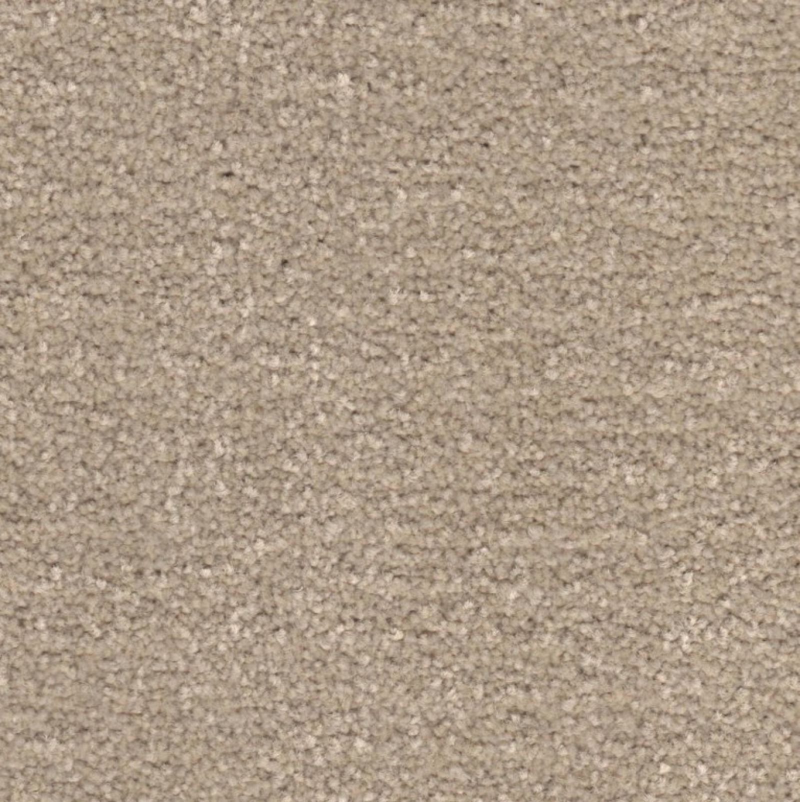 Portsmouth Twist Carpet Tapi Carpets & Floors