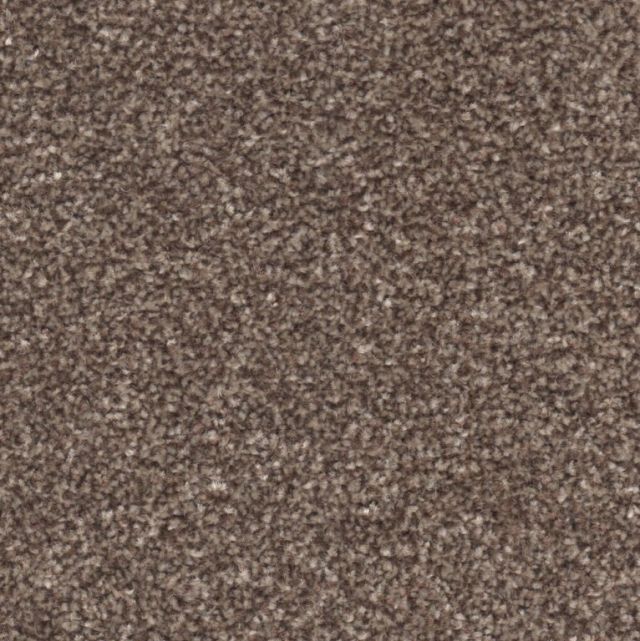 Portsmouth Twist Carpet Tapi Carpets & Floors