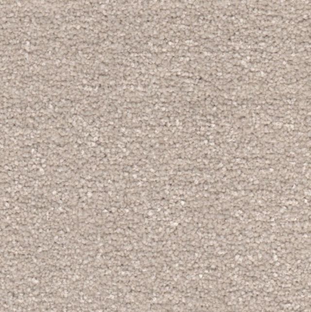 Portsmouth Twist Carpet Tapi Carpets & Floors