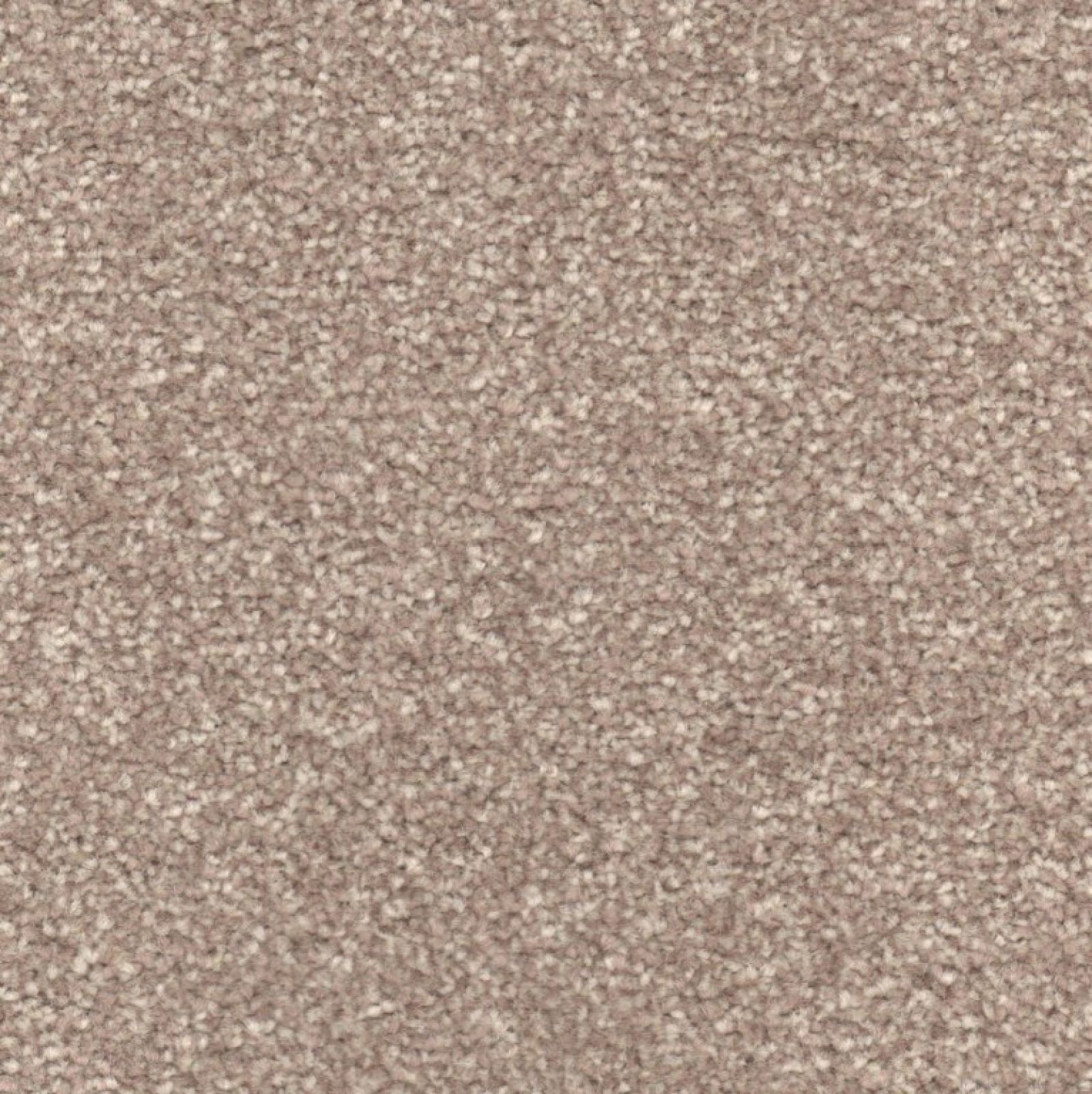 Portsmouth Twist Carpet Tapi Carpets & Floors
