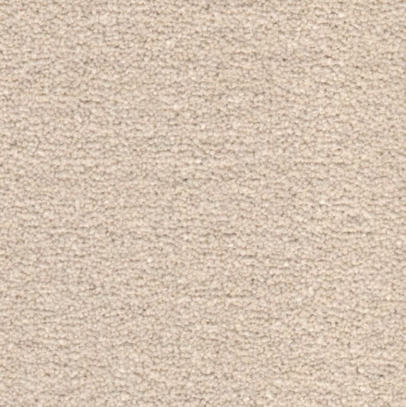 Portsmouth Twist Carpet Tapi Carpets & Floors