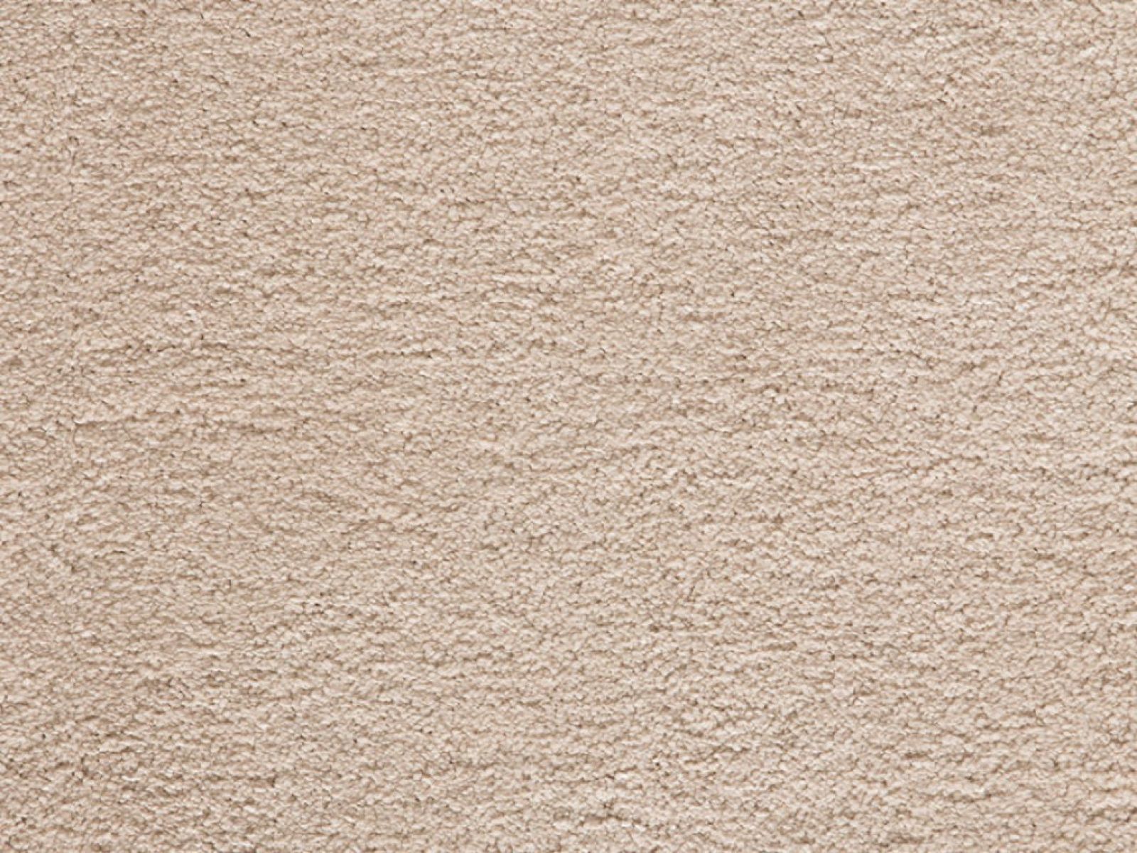 San Francisco Saxony Carpet Tapi Carpets & Floors