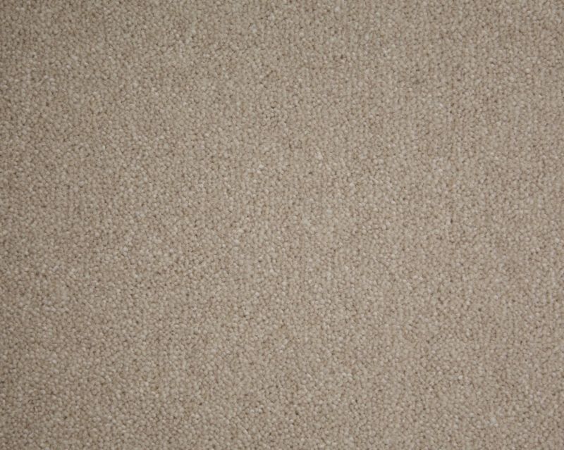 Windsor Twist Carpet Tapi Carpets & Floors