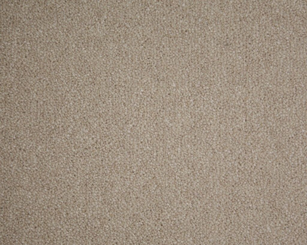 Windsor Twist Carpet Tapi Carpets & Floors