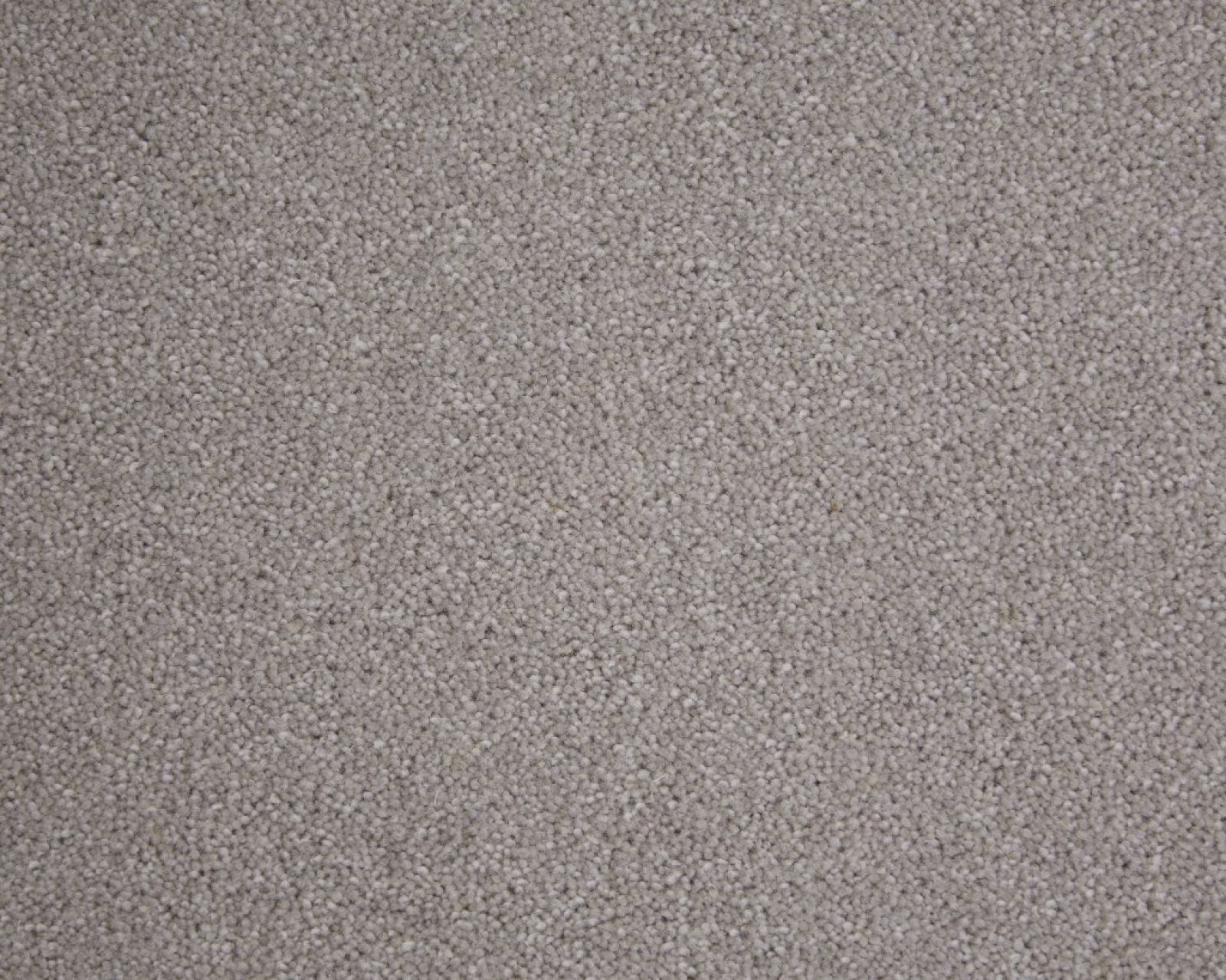 Windsor Twist Carpet Tapi Carpets & Floors