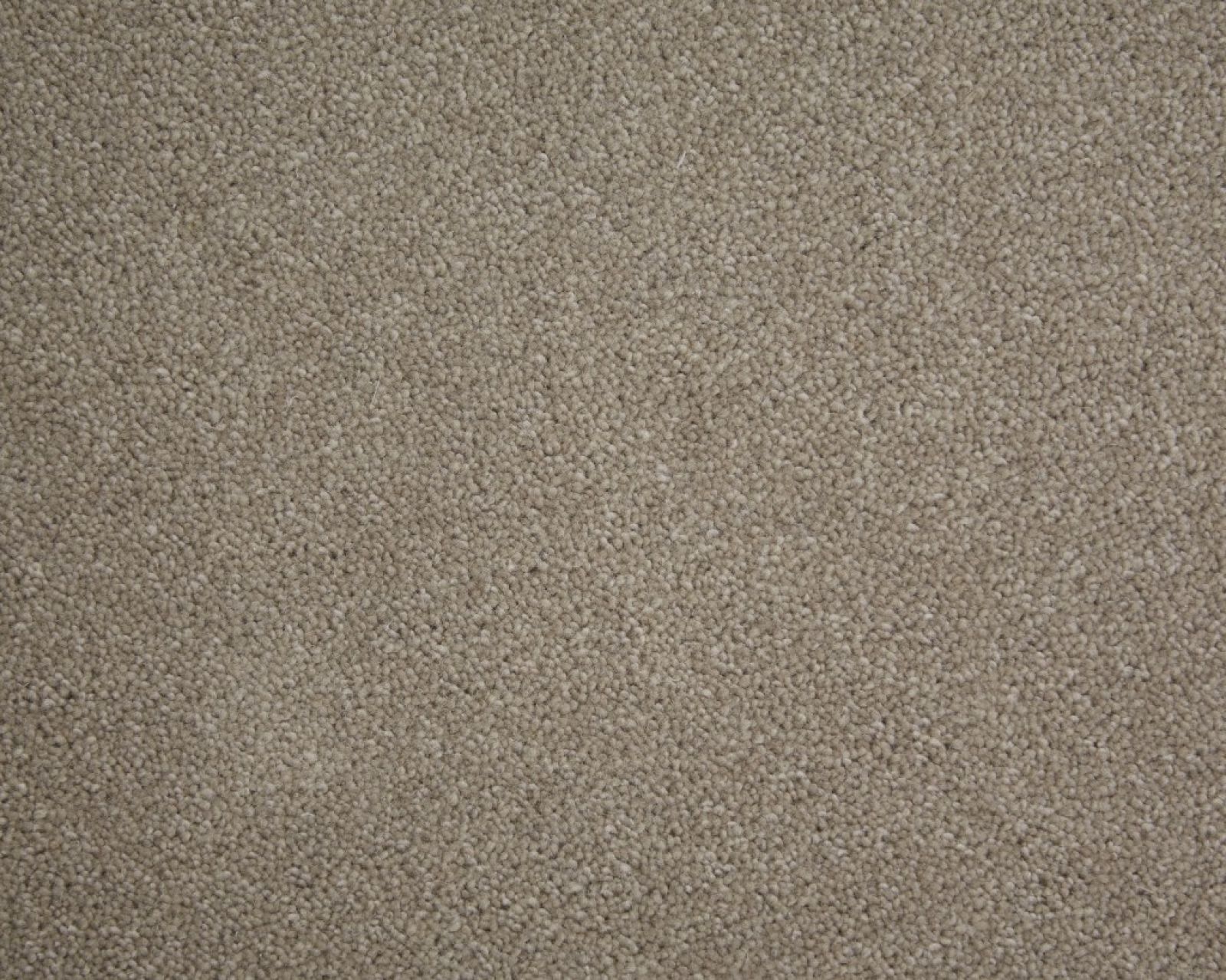 Windsor Twist Carpet Tapi Carpets & Floors