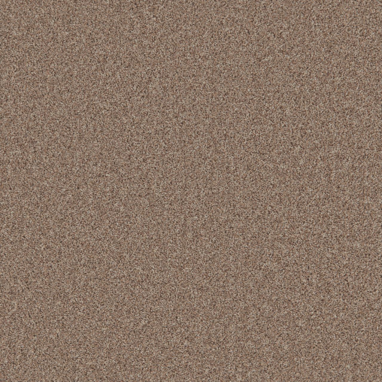 Marble Twist Carpet Tapi Carpets & Floors