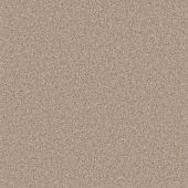 Carpetright Vivali Lynx Carpet