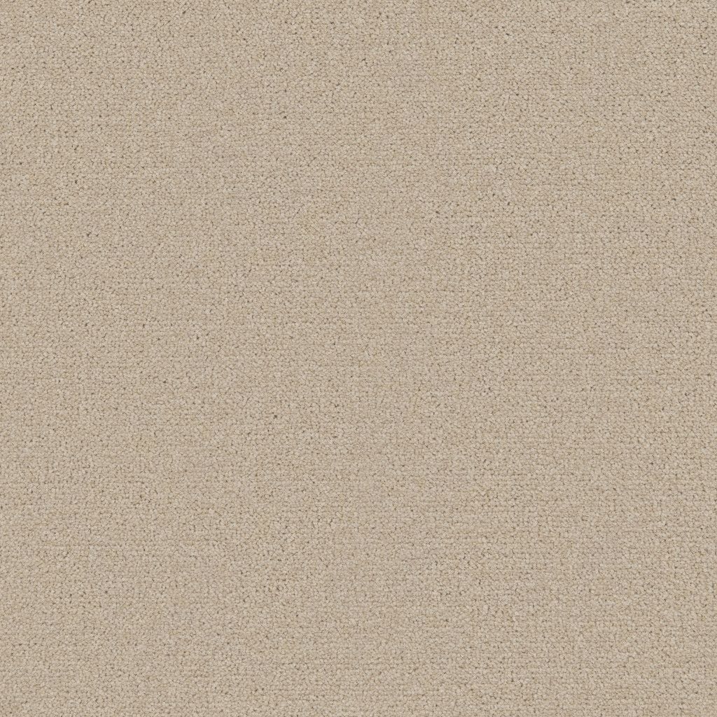 Somerset Carpet Tapi Carpets & Floors