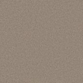 First Impressions Welldressed Carpet