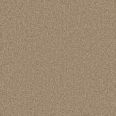 First Impressions Fresh Carpet