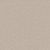 First Impressions Blush Carpet