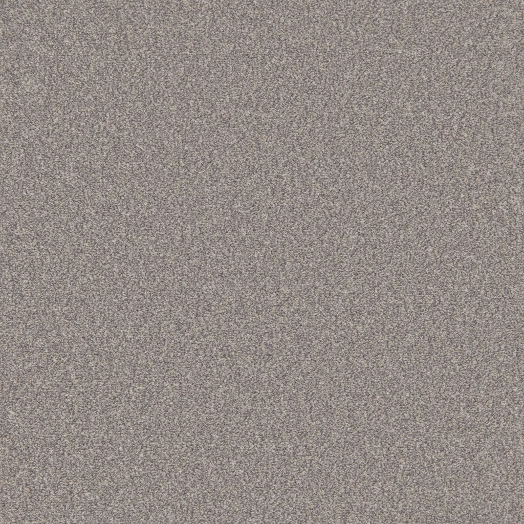 Venus Twist Carpet | Tapi Carpets & Floors