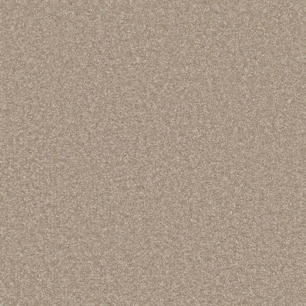 Winchester Carpet Tapi Carpets & Floors