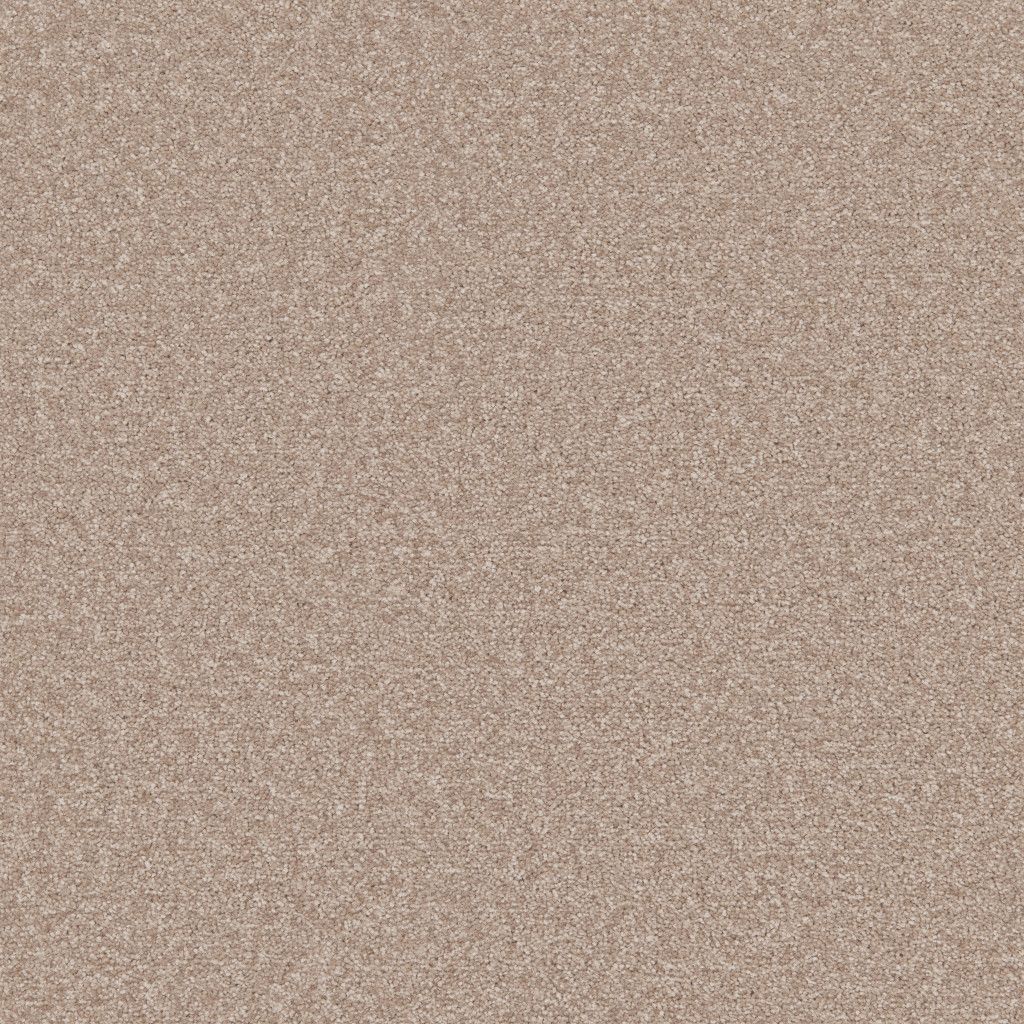 Winchester Carpet Tapi Carpets & Floors