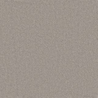 Steel