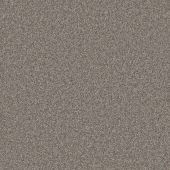 Marble Roof Top Carpet