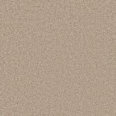 Paris Canvas Carpet