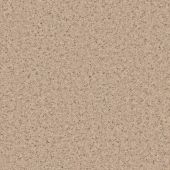 Country Living Mansion House Cookie Dough Carpet