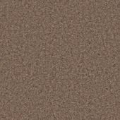 Country Living Mansion House Oak Carpet