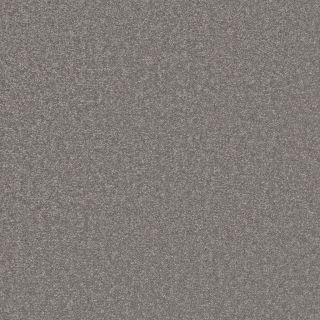 Steel