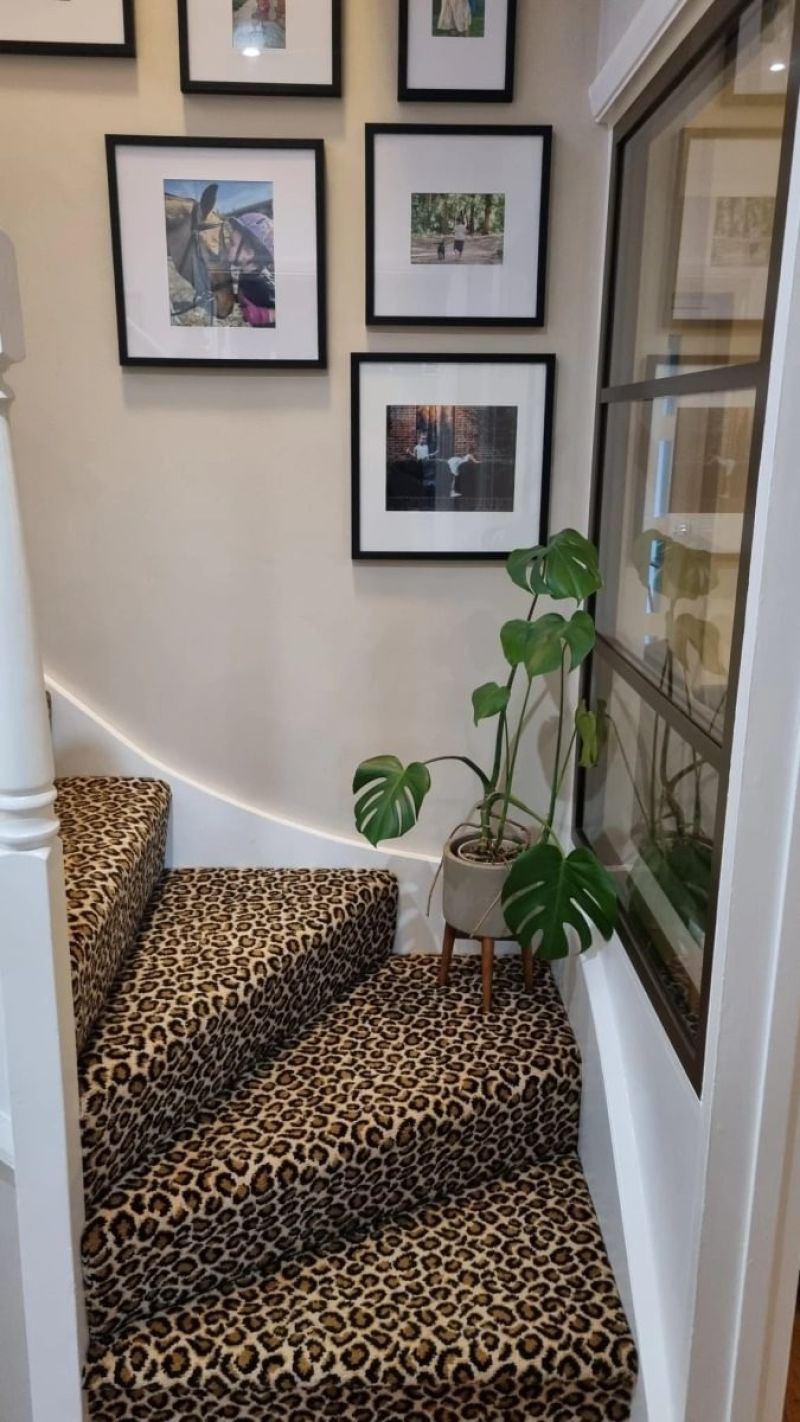 Safari Ocelot