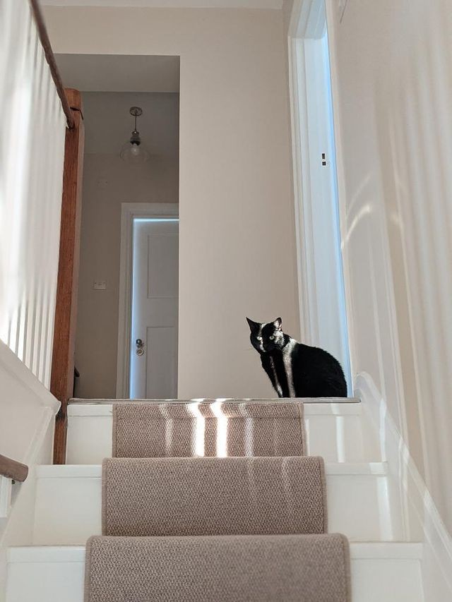 Bedouin - Beige Cobble Beige Stairs