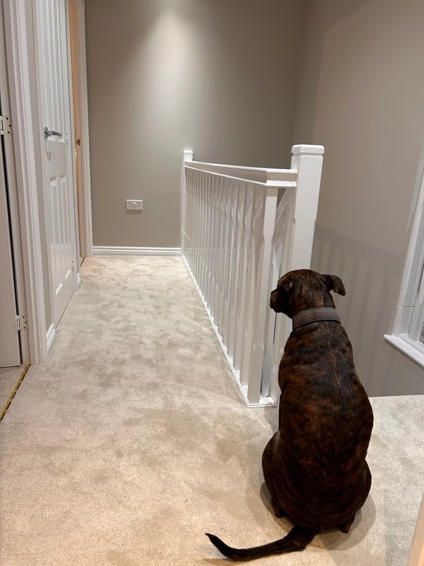 Oregon - Beige Beige Hallway